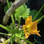 ホテル Macedon 3*