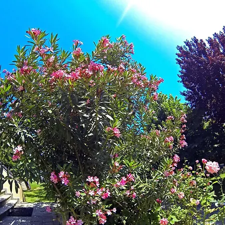 Macedon ホテル 3*