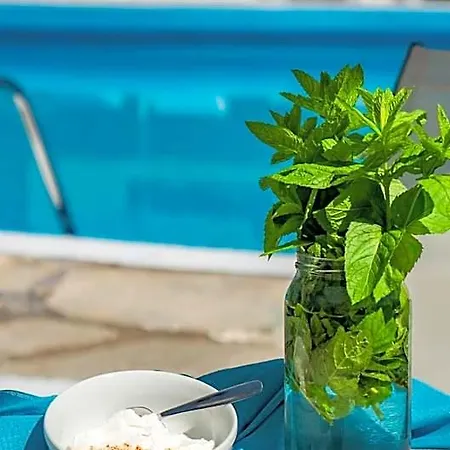 Hotel Macedon Limenas (Thasos)