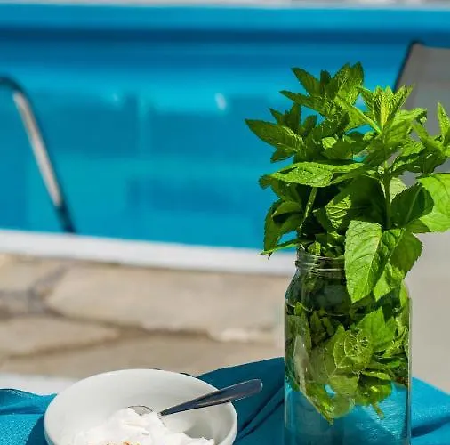 Otel Macedon Limenas (Thasos)